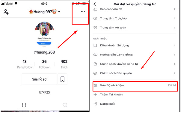 Tips for Handling Error Downloading Tiktok Videos Without Sound Picture 4