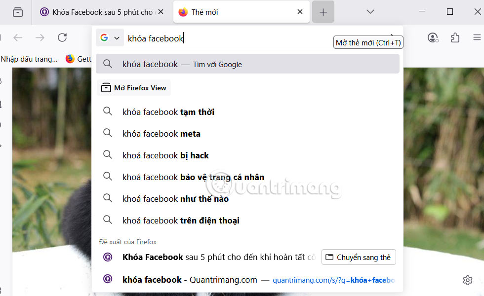 Tips for using new features in Firefox address bar Picture 6