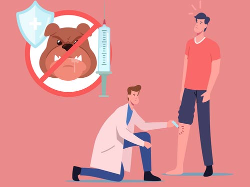 Tips for Preventing Dog Bites in Children and When to See a Doctor Picture 2