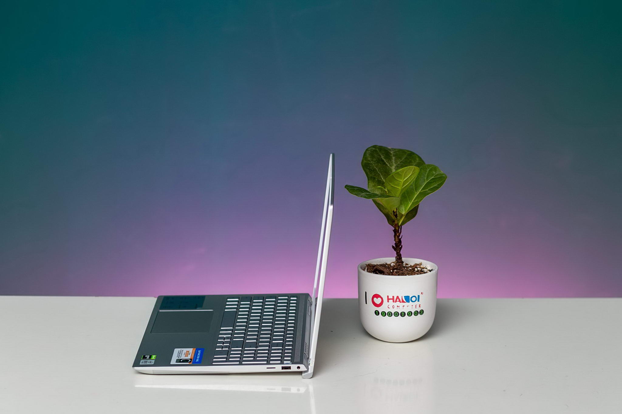 Top 4 Laptops for Professional Graphics - Good - Cheap Picture 11