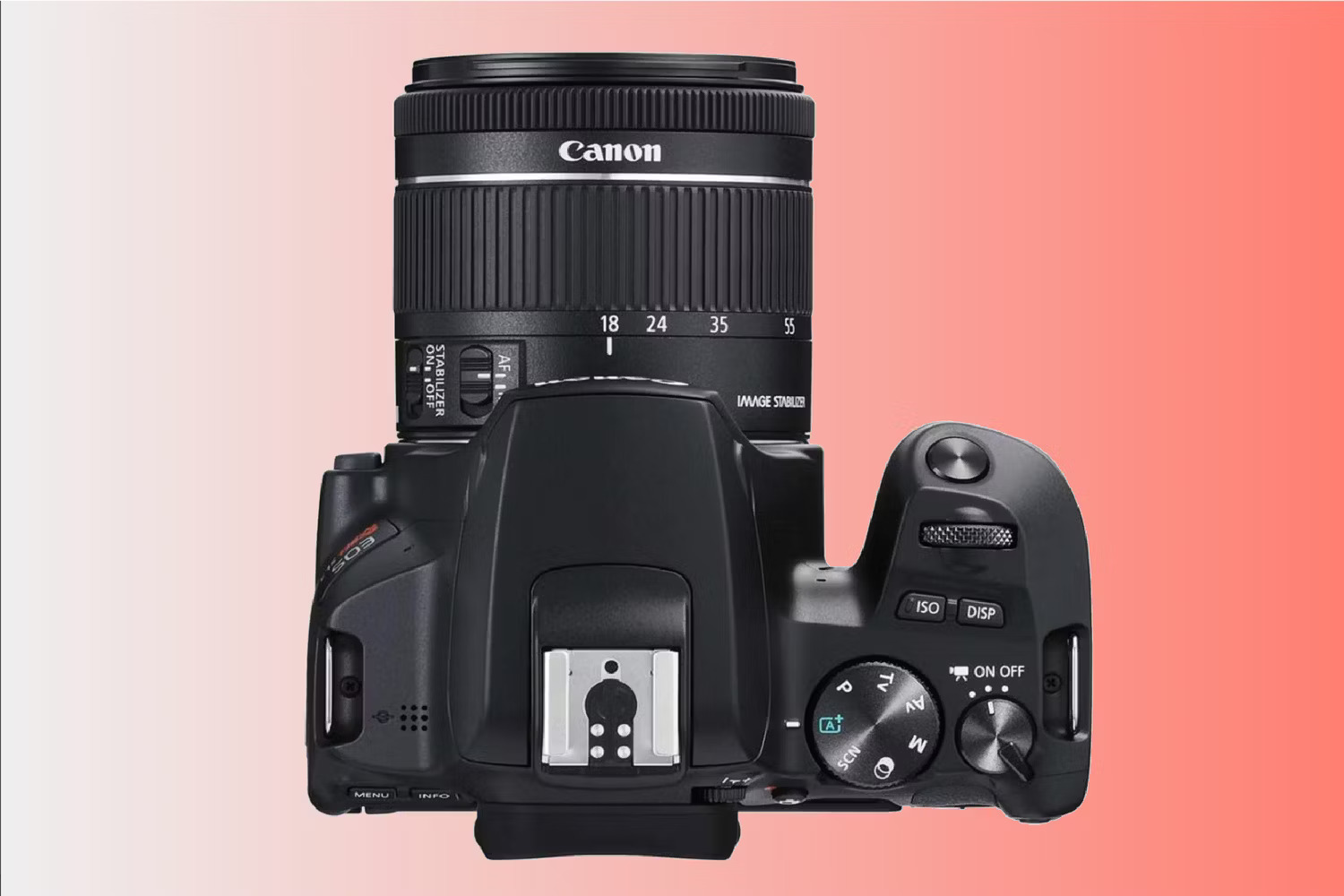 Top 5 best cheap DSLR cameras of 2024