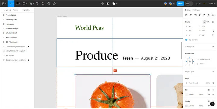 Top 6 Adobe Creative Cloud Alternatives You Shouldn't Miss Picture 1