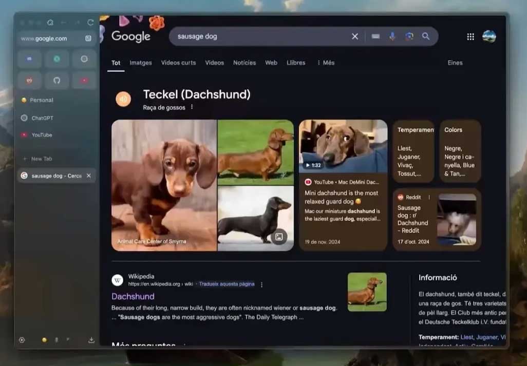 images 6 of Top AI browsers to replace Chrome and Safari worth mentioning in 2026.