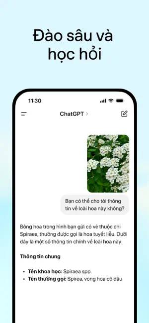 images 3 of Top best AI apps on iPhone