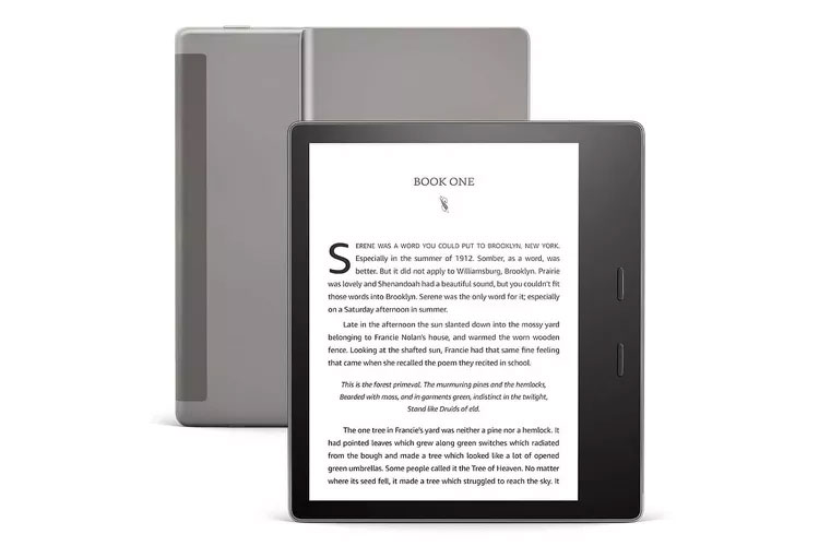 Top best ereader devices 2024