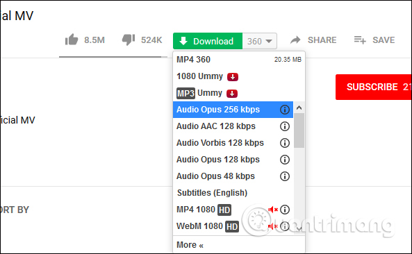 Top Chrome extensions for fast video downloads. Picture 6