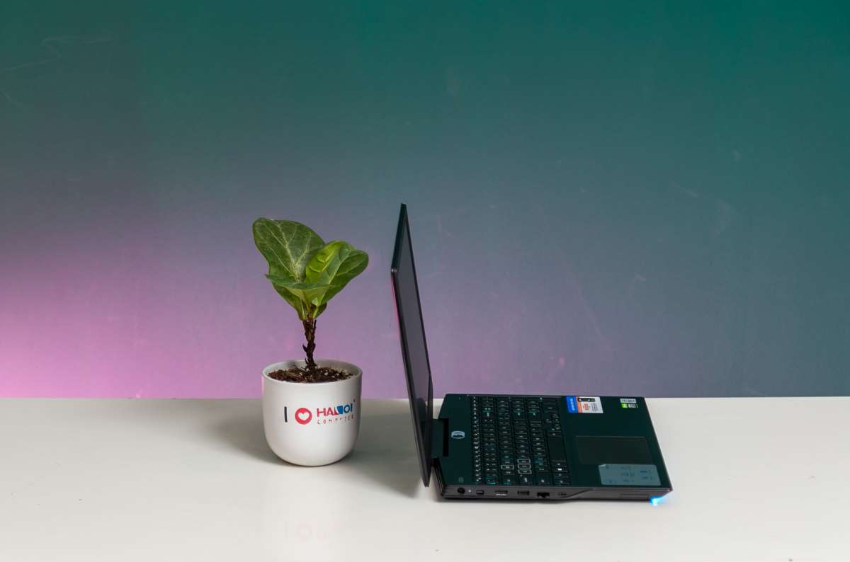 Top Dell Laptops Worth Buying Picture 10