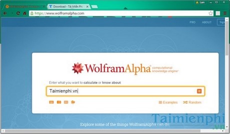 Picture 2 of Top most effective Google alternative search engines