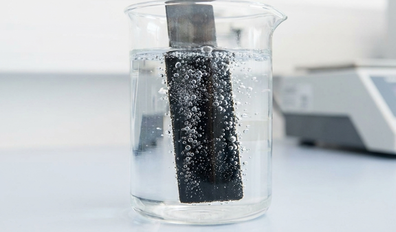 Transforming plant waste into catalysts for producing clean hydrogen. Picture 1