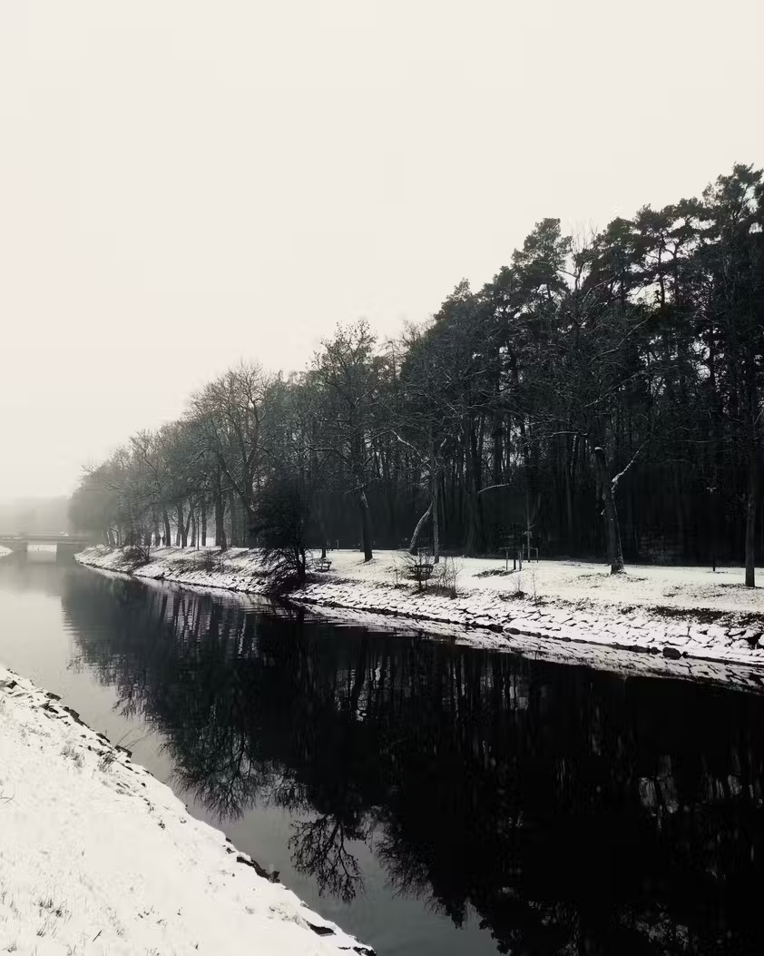 Unexpected ways to hone your smartphone photography skills Picture 4