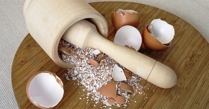 Uses of eggshells Picture 1