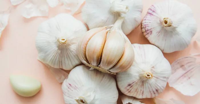 Vegetables that can be eaten raw and are better cooked Picture 2