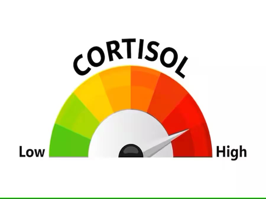 Warning signs of high cortisol and how to fix it Picture 1