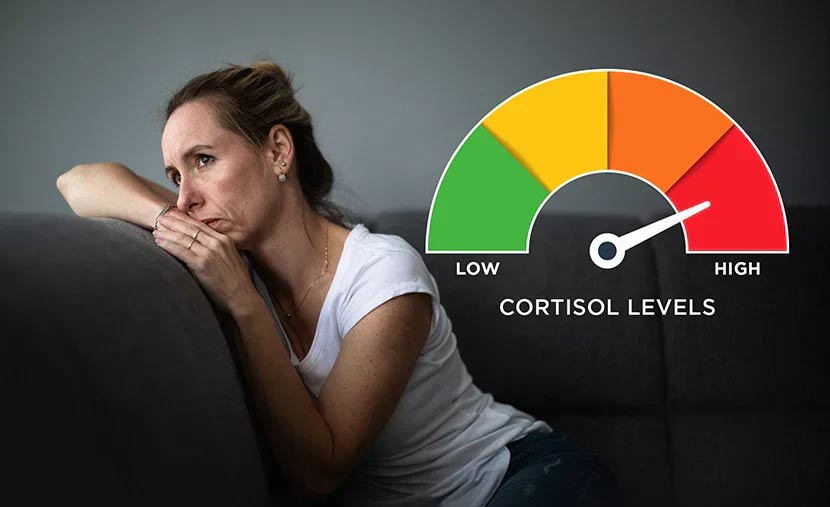 Warning signs of high cortisol and how to fix it Picture 3