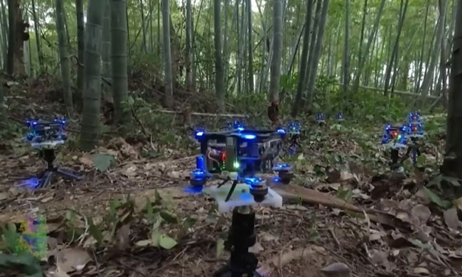 Watch an army of autonomous drones weave through a bamboo forest like in the movies Picture 1