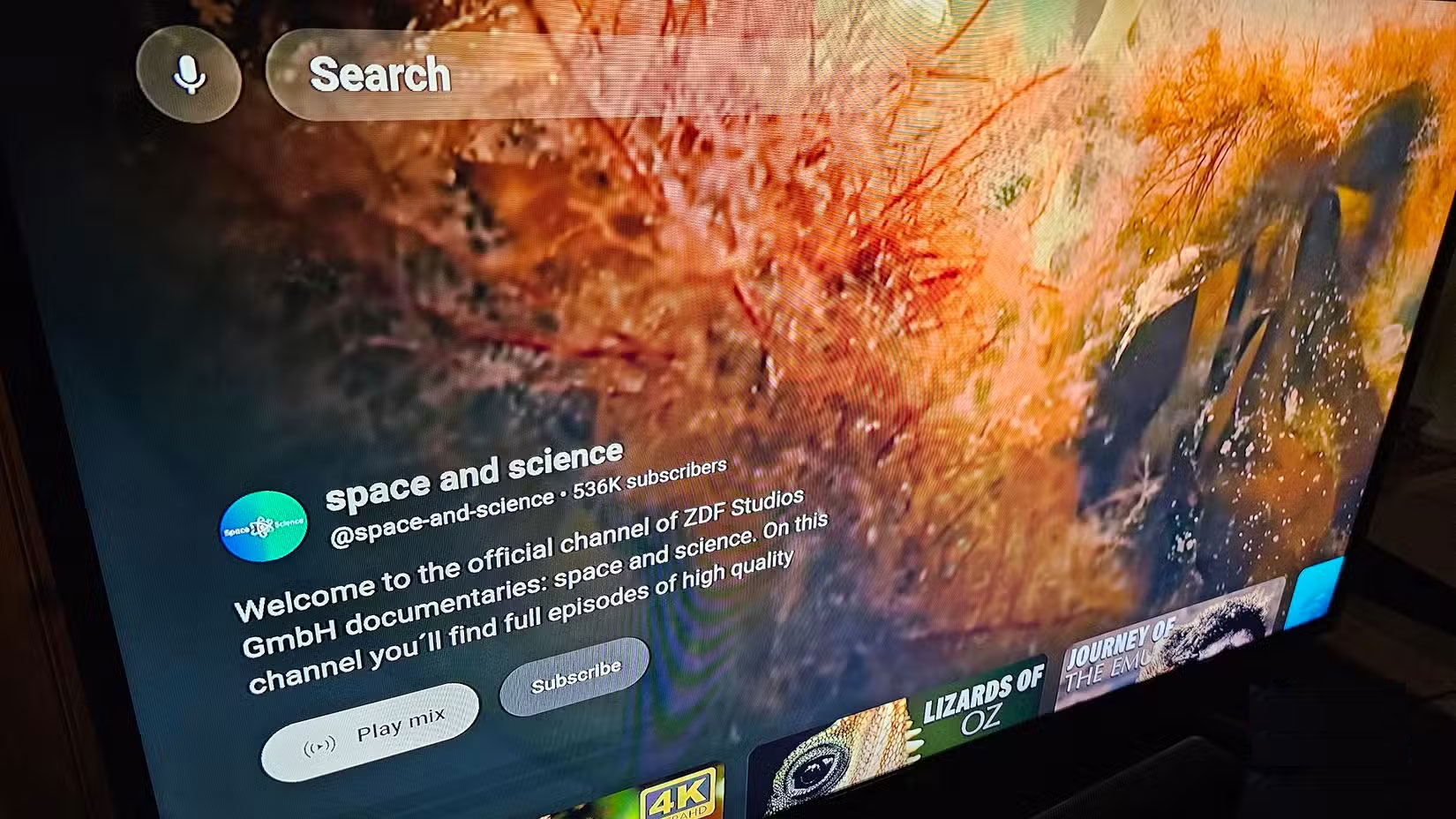Watch 4K nature documentaries for free with the YouTube TV app Picture 3
