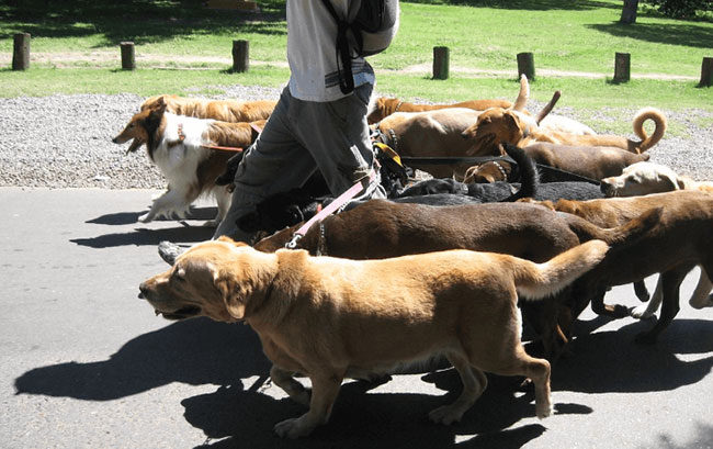 Ways to Make Money on Amazon Picture 6