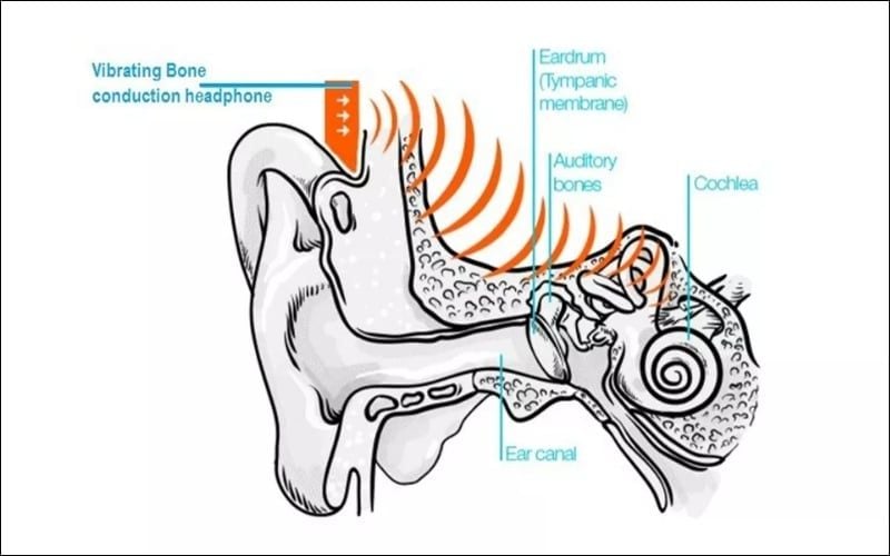 Picture 2 of What are bone conduction headphones? Should you buy them?
