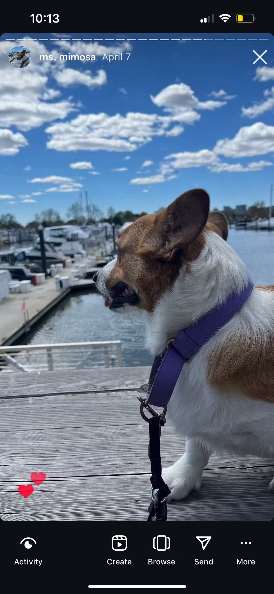 What are Instagram Highlights? Picture 9