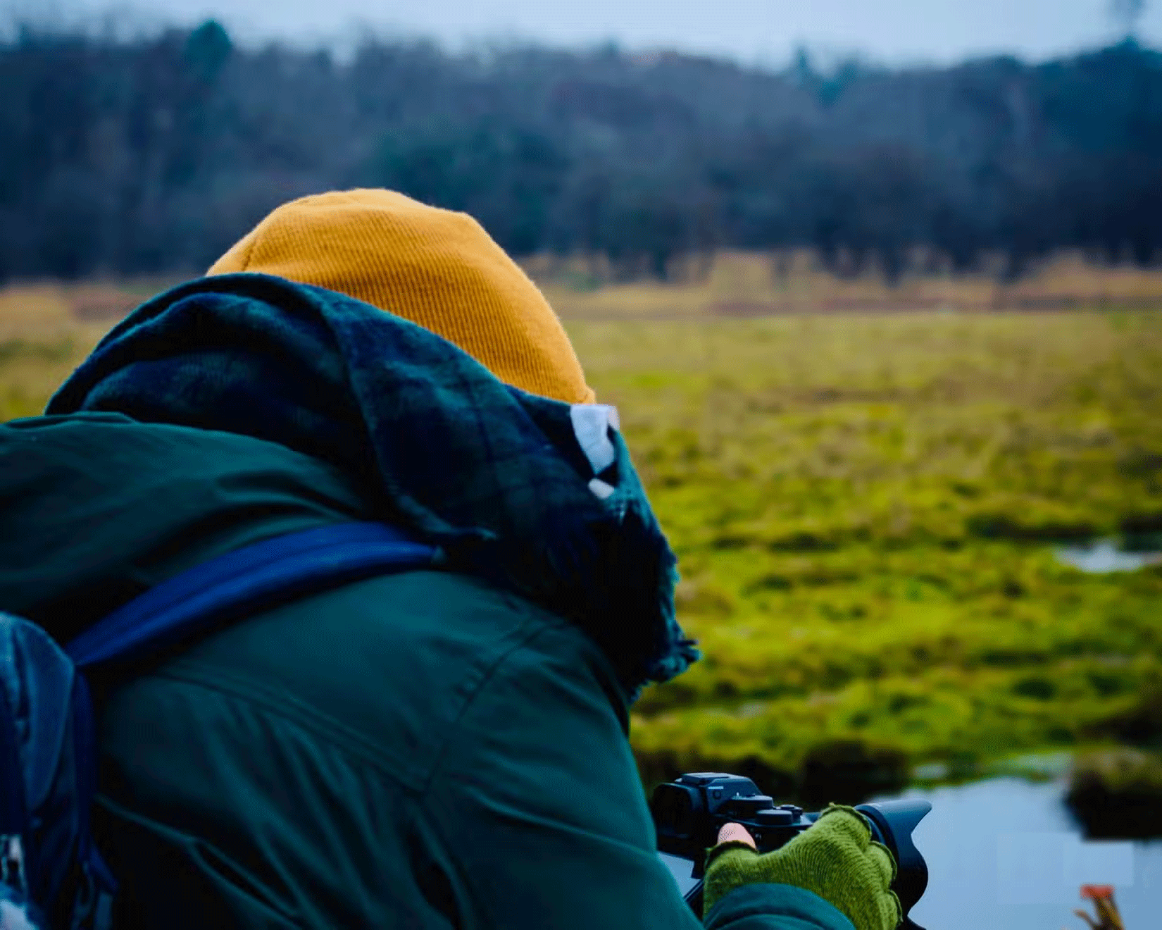 Types of photography that should be taken with a DSLR camera Picture 1