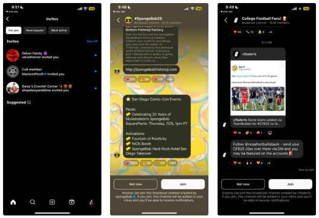 What is an Instagram broadcast channel? Picture 2