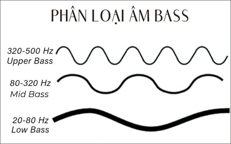 Picture 2 of What is bass? Classification and role of bass in practice.