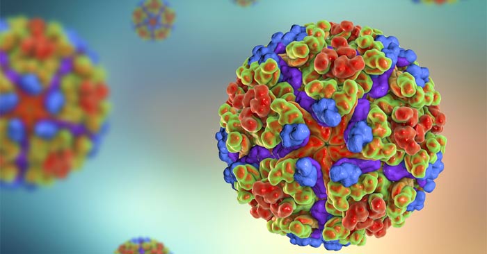 What is Chikungunya virus? What you need to know about the global outbreak of Chikungunya Picture 1