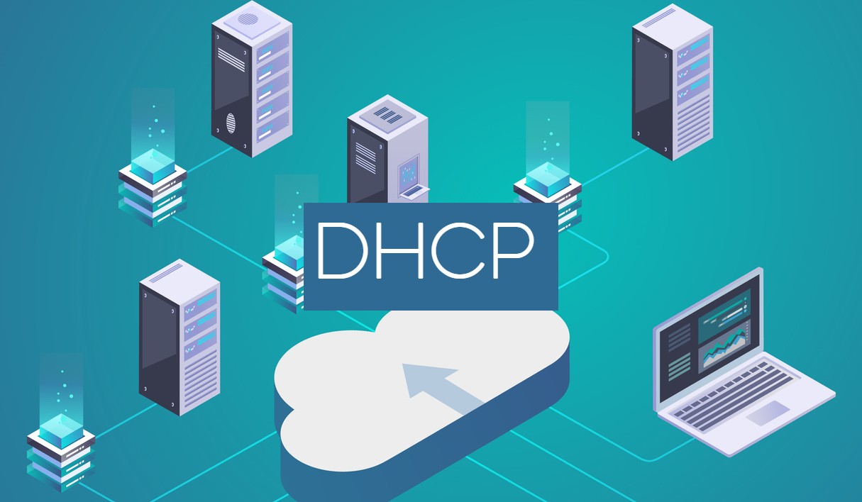 What is DHCP and Static IP? Should I choose DHCP or Static IP? Picture 1