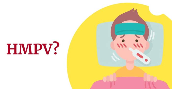 What is HMPV virus? Picture 3