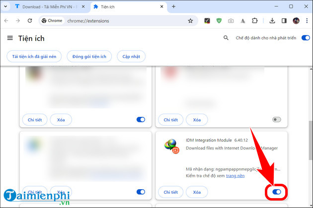 Picture 11 of What is IDM? How to download and install the software on your PC or laptop.
