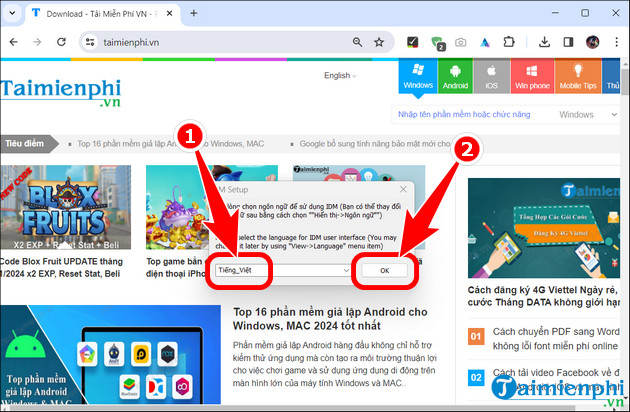 Picture 4 of What is IDM? How to download and install the software on your PC or laptop.