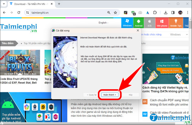 Picture 8 of What is IDM? How to download and install the software on your PC or laptop.