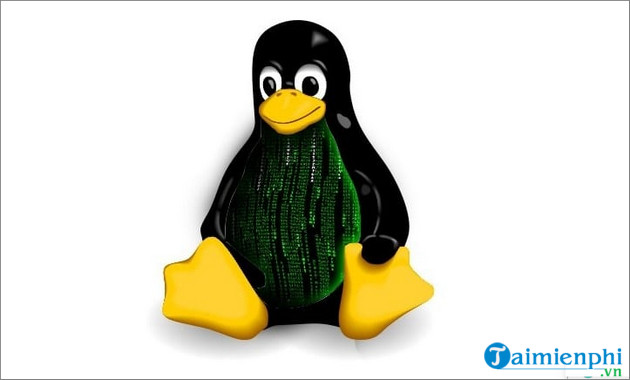 What is Linux Kernel? Application functions of Linux Kernel in computer systems Picture 3