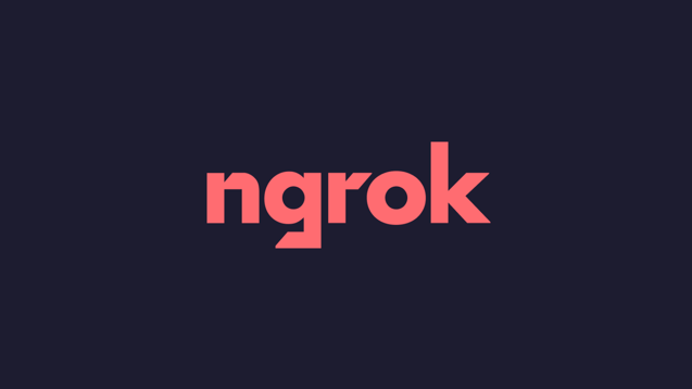 What is NGROK? Detailed instructions for use Picture 1