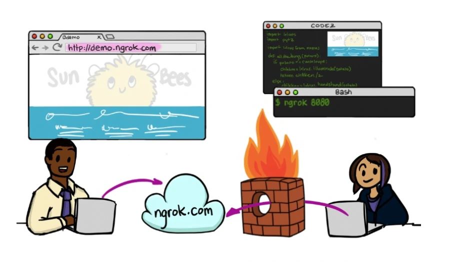 What is NGROK? Detailed instructions for use Picture 2