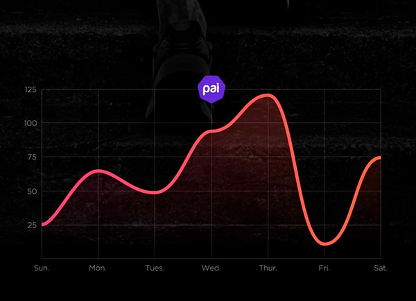What is PAI on Mi Band 5? How to use PAI? Picture 1