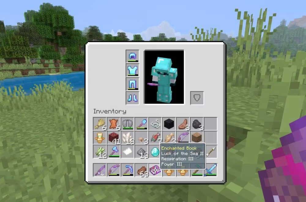 images 3 of What is respiration in Minecraft?