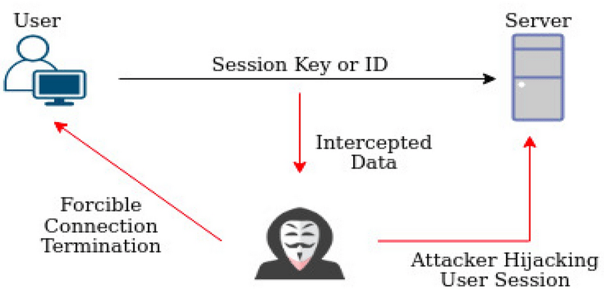 What is Session Hijacking? Common Session Hijacking Attacks Picture 2