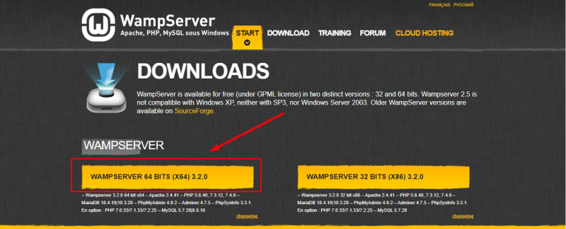 What is Wamp Server 64 bit? How to download and install simply and in detail Picture 2