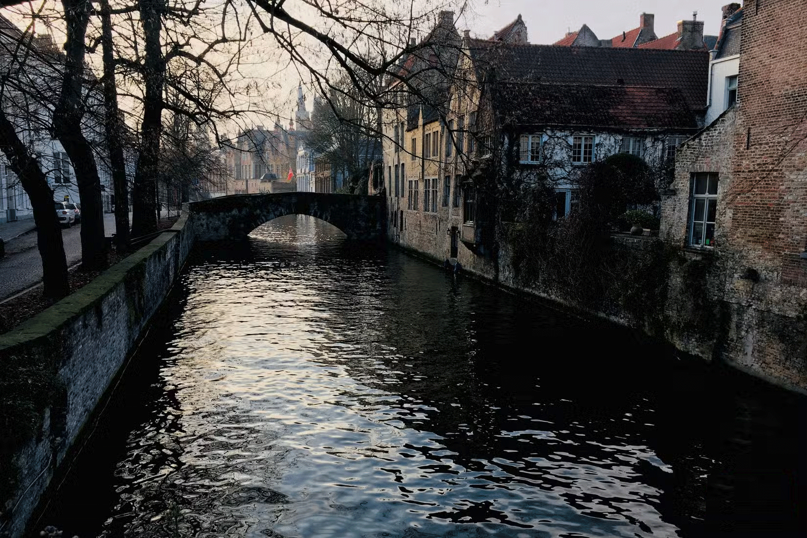 When and when not to use Auto-Enhance on smartphone photos? Picture 4