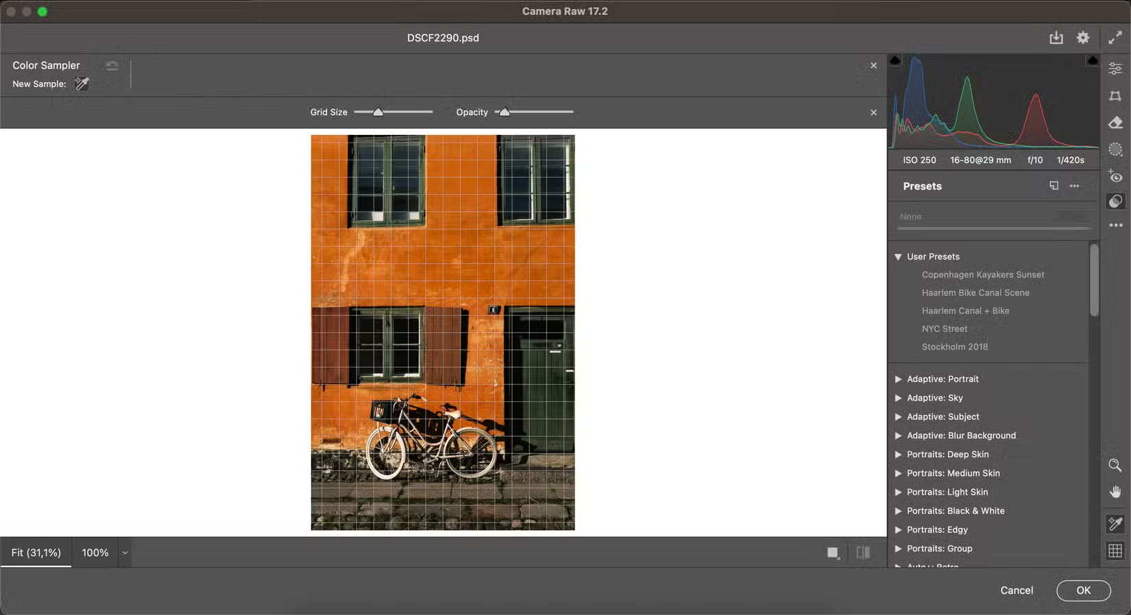 When to use Camera Raw? Picture 2