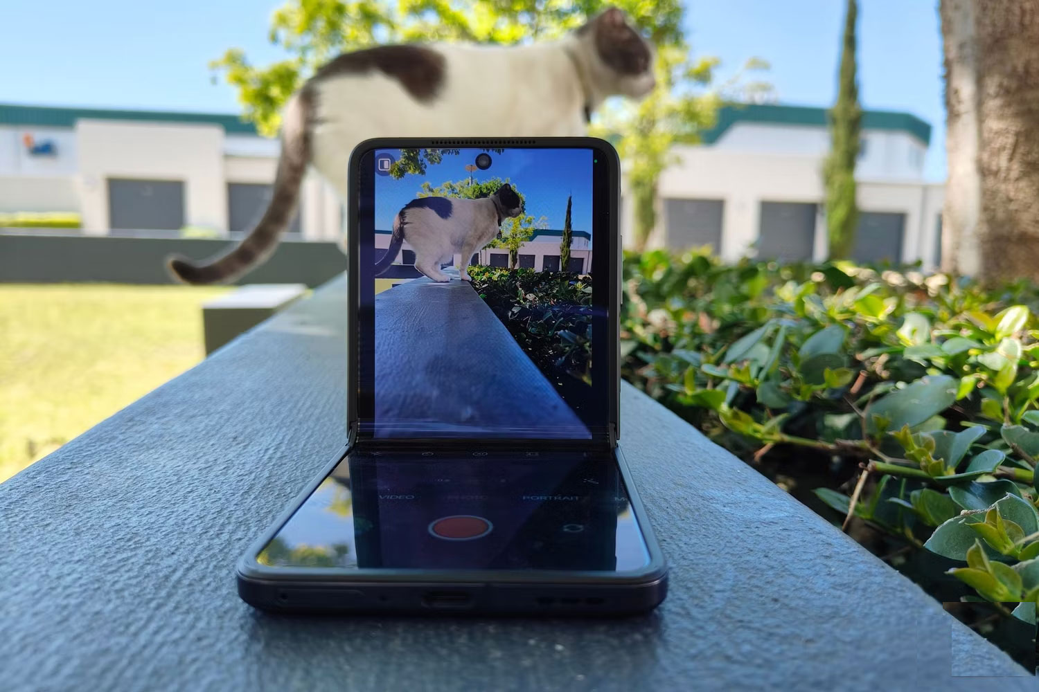 Why are many people still hesitant to buy foldable screen phones? Picture 2