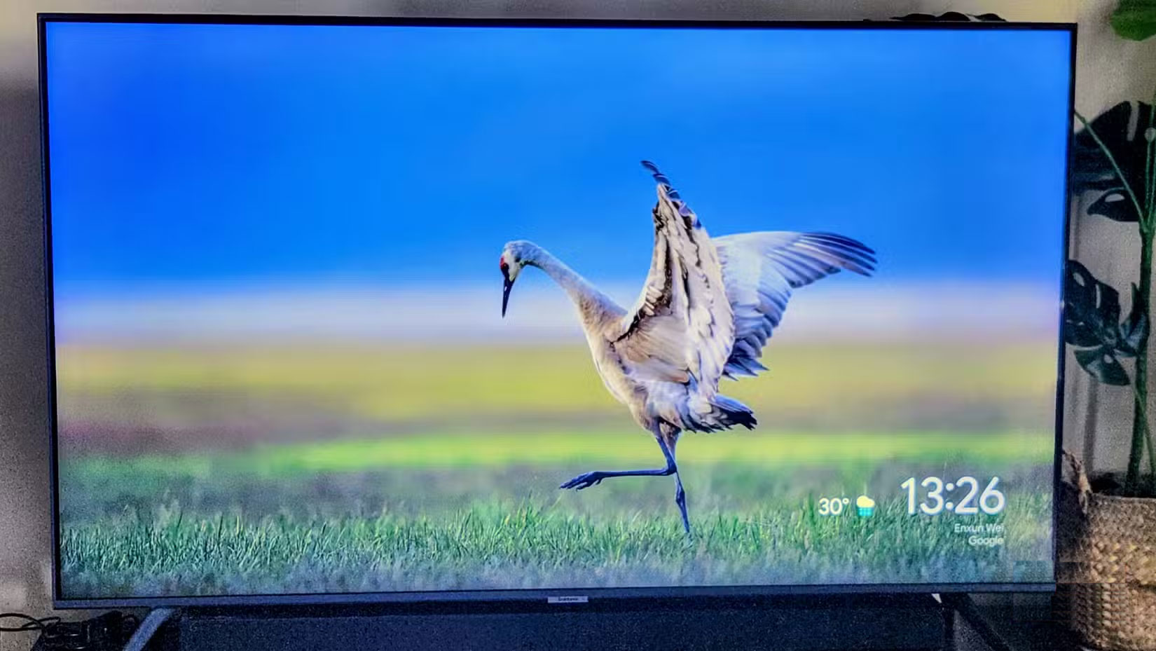 Why Chromecast is still worth buying in 2025? Picture 4