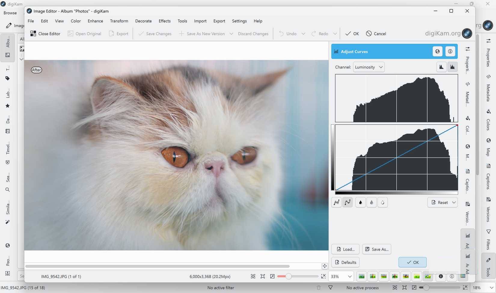 Why do many people choose DigiKam over Lightroom for photo organization? Picture 7