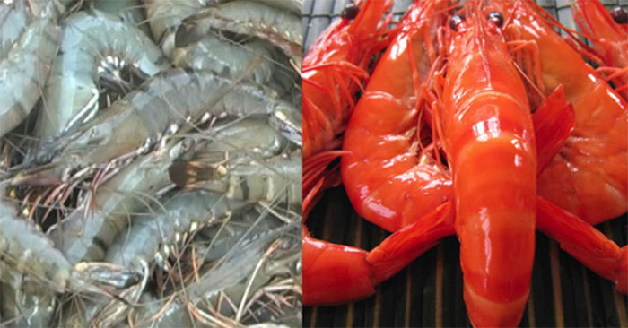 Why do shrimp and crab shells turn red after cooking? Picture 1