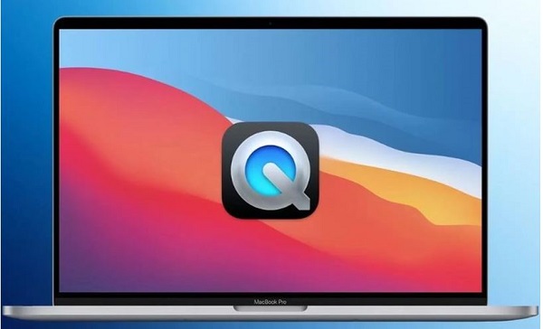 Why does opening MOV file have no image? How to fix? Picture 4