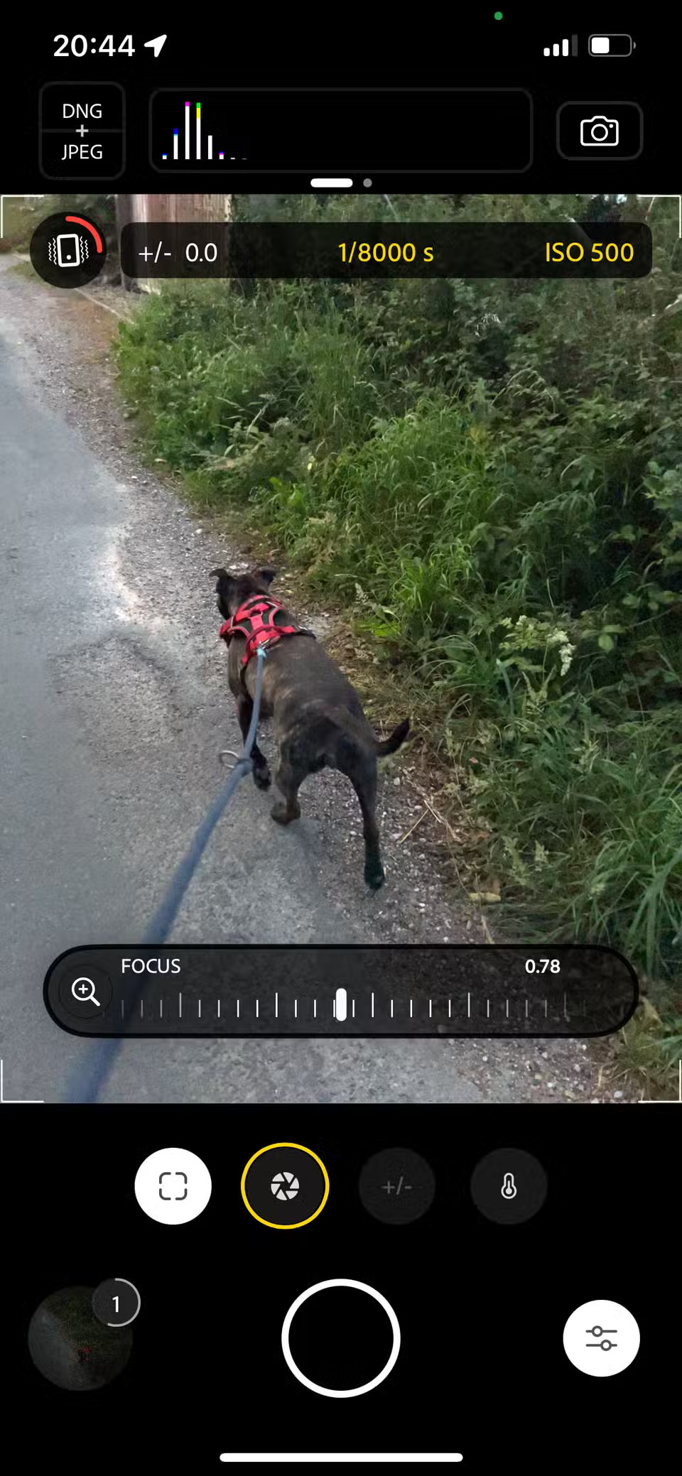 Why Every Smartphone Photographer Should Know About Adobe Project Indigo Picture 2