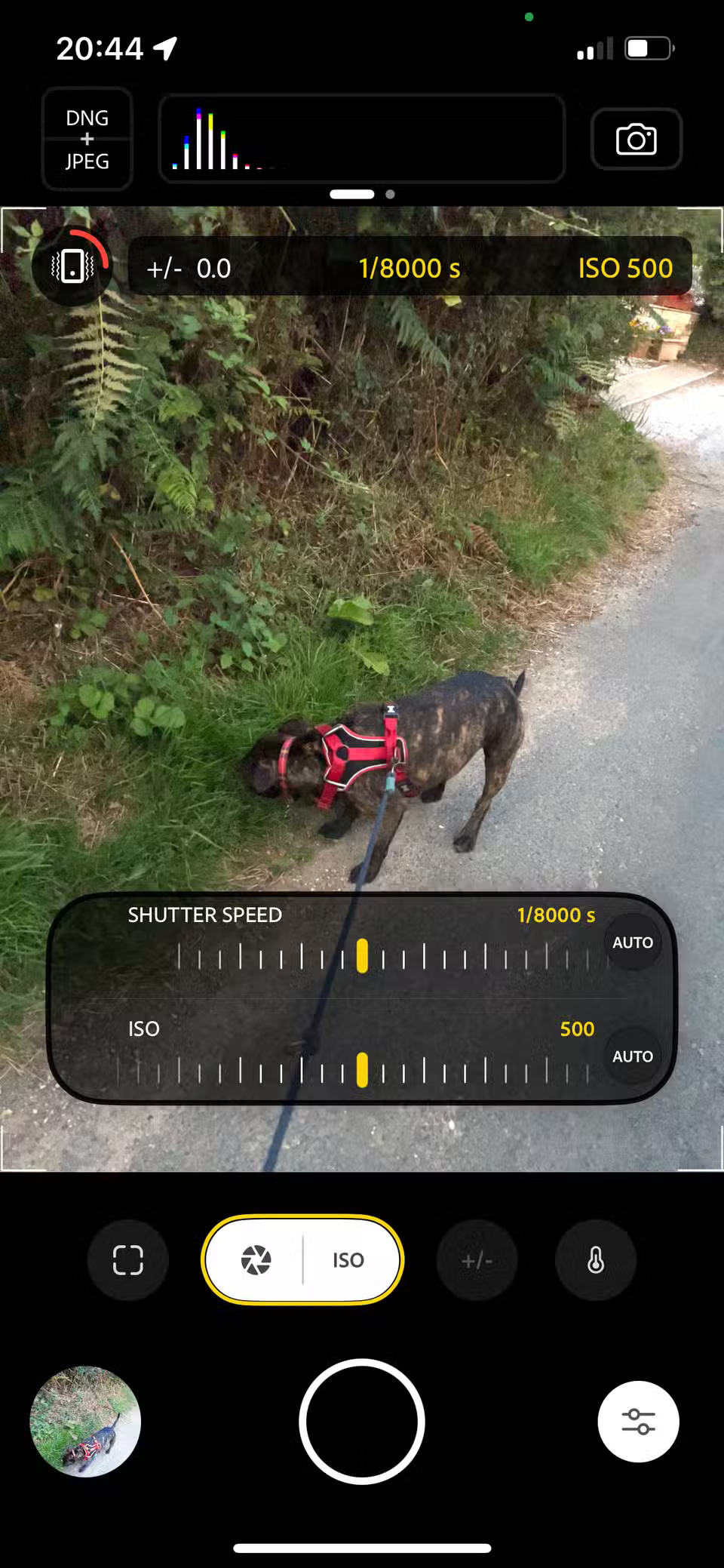 Why Every Smartphone Photographer Should Know About Adobe Project Indigo Picture 3