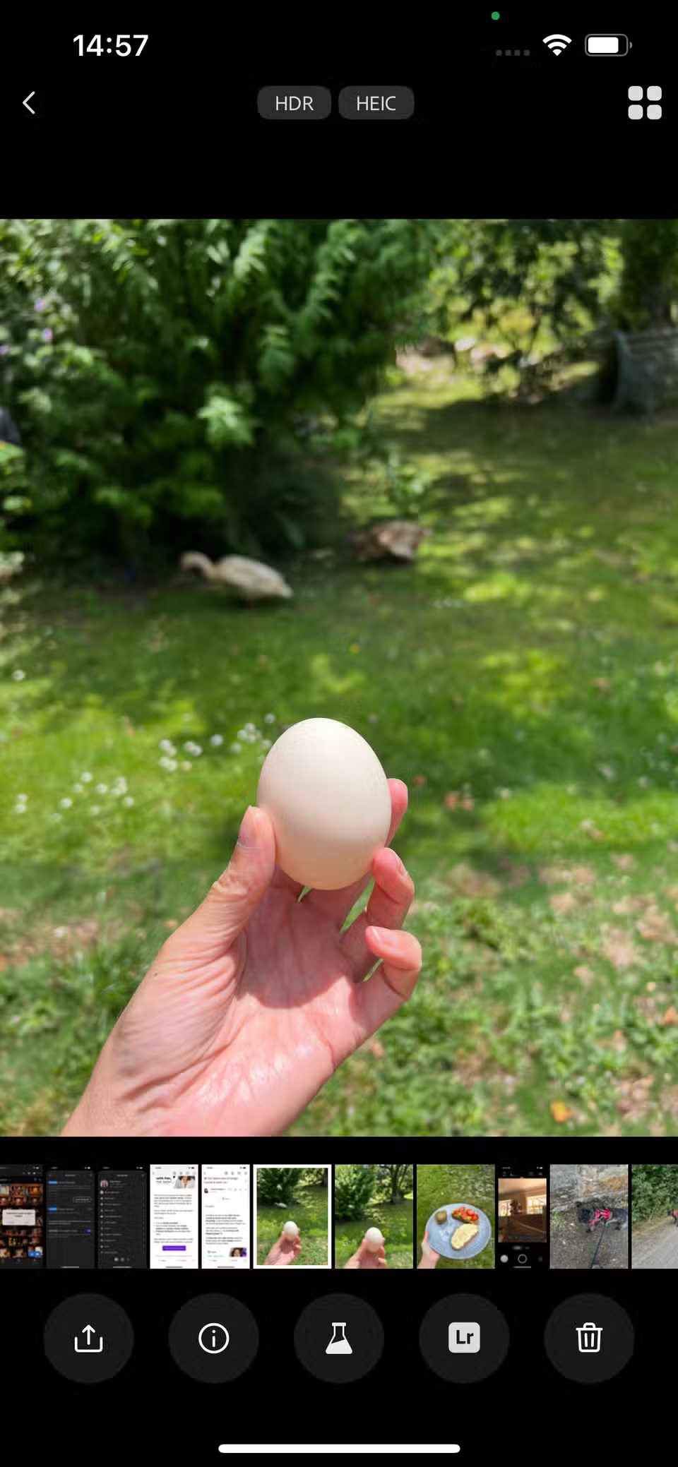 Why Every Smartphone Photographer Should Know About Adobe Project Indigo Picture 9