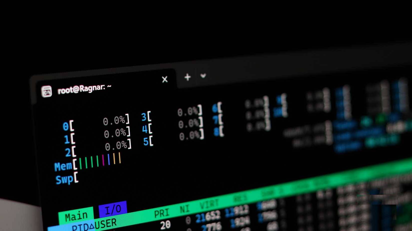 Why can htop beat Task Manager? Picture 1